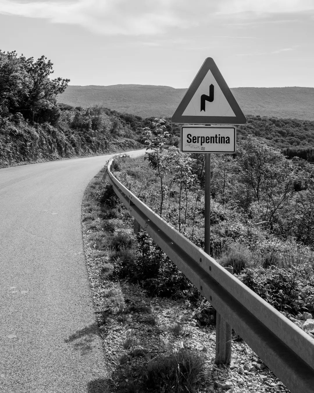 So, what's next? What can you expect from 2023 edition? For sure there will be a lot of climbing, a lot of crazy off-road and something new to spice up the experience 💚🐍

📸 @foto.nico.la

.
.
.

#serpentsarerising #sevenserpentsgravel #7SG2022 #wiliertriestina #raisethebar #pasol #vivifuori #infini #movinginstyle #bikepacking #bikepackinglife #cyclingadventures #ultracycling #cycling  #gravel #gravelgrinder #ridegravel #outsideisfree #naturelovers #cyclingshots
